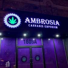 Ambrosia Cannabis Emporium | 1605A Queen St W, Toronto, ON M6R 1A9, Canada
