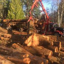 S A S Logging & Tree Service | 51633 Yale Rd, Rosedale, BC V0X 1X1, Canada