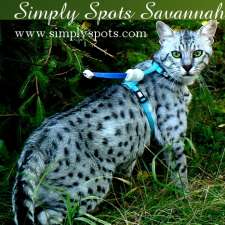 Simply Spots Savannahs | RR 2 Site 1 Box 32, Olds, AB T4H 1P3, Canada