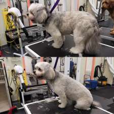 All About Grooming | 727 Speedvale Ave W, Guelph, ON N1K 1E6, Canada