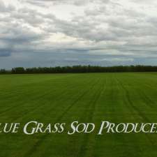 Blue Grass Sod Producers Ltd | 1278 Marchand Rd, Howden, MB R5A 1J6, Canada