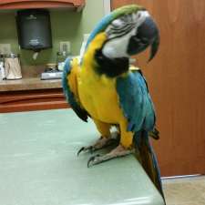Specialized Care-Avian & Exotic Pets | 10882 Main St, Clarence, NY 14031, USA