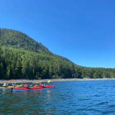 Kayak Tours Campbell River | 1811 Surgenor Rd, Black Creek, BC V9J 1G6, Canada