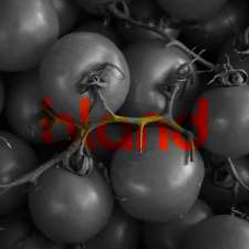 Bland Marketing Agency | 22A Sunnybrae Ave, Halifax, NS B3N 2G1, Canada