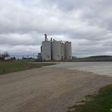 Underwood Grain Ltd | 41797 Howick Turnberry Rd, Wingham, ON N0G 2W0, Canada