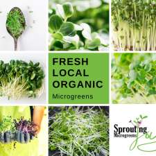 Sprouting Joy Microgreens | 5th St SE, Chesley, ON N0G 1L0, Canada