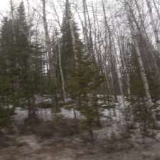Forêt du Maître Scieur | 1571 Rue Principale, Pohénégamook, QC G0L 1J0, Canada
