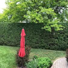 Taille de haie JM | 460 Rue Upper Edison, Saint-Lambert, QC J4R 2V5, Canada