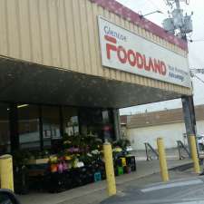 Foodland - Glencoe | 195 Main St, Glencoe, ON N0L 1M0, Canada