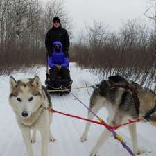 Harness Adventure Mushing Co. | Trans-Canada Hwy, Richer, MB R0E 1S0, Canada