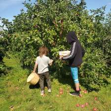 Charlotte's Family Orchard | 2287 NB-102, Gagetown, NB E5M 1T5, Canada