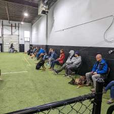SHIELD K9 Dog Training | 584540 Beachville Rd, Woodstock, ON N4S 7V6, Canada