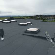 Excellent Roofing & Renovations Ltd | 219 38 Ave NE, Calgary, AB T2E 2M2, Canada