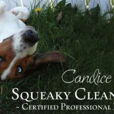 Squeaky Clean K-9's ~ Certified Dog Groomer | 117 Centre St S Bay 3, Sundre, AB T0M 1X0, Canada