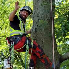 Clarke Tree Service | 395 Sandhurst Dr, Oakville, ON L6L 4L1, Canada