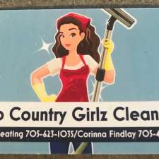 Two Country Girlz Cleaning | 11 Rosewood Dr, Lisle, ON L0M 1M0, Canada