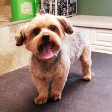 Ruffs and Tufts Pet Grooming | 11 Burtch Rd, Mount Pleasant, ON N0E 1K0, Canada