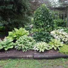 Hosta Choice Gardens | 4897 Irish Dr, Appin, ON N0L 1A0, Canada