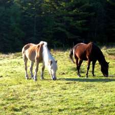 Windhorse Wood | 132 Sarty Rd, New Germany, NS B0R 1E0, Canada
