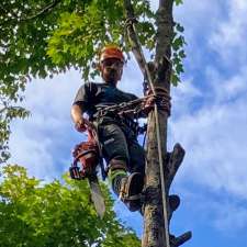 Schmeler Tree Removal and services | 369 Pickerel & Jack Lake Rd, Burk's Falls, ON P0A 1C0, Canada