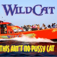 WildCat 1000 Islands Adventure Cruises | 30 Block House Island Rd, Brockville, ON K6V 4R7, Canada