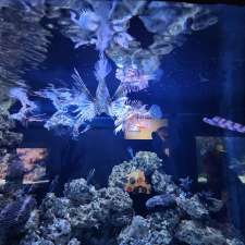 Vancouver Aquarium | 845 Avison Way, Vancouver, BC V5C 2V7, Canada