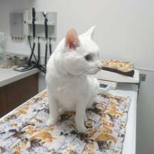 Lessard - Callingwood Veterinary Hospital Ltd | 7514 178 St NW, Edmonton, AB T5T 2Y5, Canada