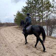 Meraki Equestrian | 258 Beechgrove Side Rd, Alton, ON L7K 0L7, Canada