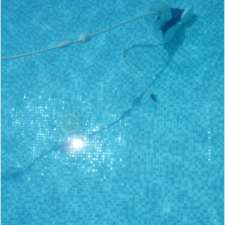 Alexander Pool Service | 431 Boler Rd, London, ON N6K 2K8, Canada