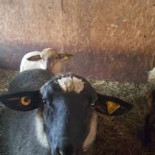 Ferme D'artagneau | 33 Rang Double, Napierville, QC J0J 1L0, Canada
