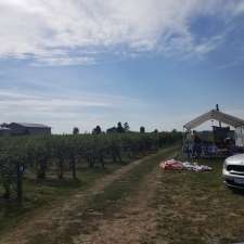 Van Nes Organic Blueberries | Sumas Prairie, Abbotsford, BC V3G 1X2, Canada