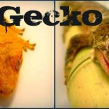 The Gecko Den | 114 Pauline Crescent, London, ON N6E 2L3, Canada