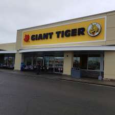 Giant Tiger | 1021 St. Laurent Blvd, Ottawa, ON K1K 3B1, Canada