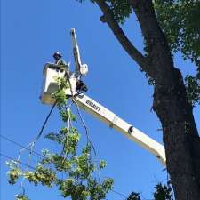 Ken Gilbert Bucket Truck Service | 18905 Nova Scotia Trunk 2, Nappan, NS B0L 1C0, Canada