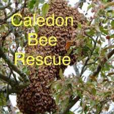 Caledon Bee Rescue | 17162 Mississauga Rd, Belfountain, ON L7K 0E6, Canada