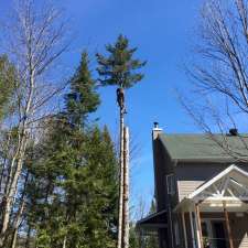 WoodRoy Tree Service | 55 Chem. Alpino, Morin-Heights, QC J0R 1H0, Canada