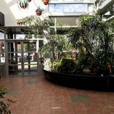 Restaurant Tomas Tam Inc | 5233 Bd Wilfrid-Hamel, Québec, QC G2E 2H1, Canada