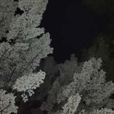 Jeanne-Mance Park soccer field | Le Plateau-Mont-Royal, Montreal, QC H2W 2N4, Canada