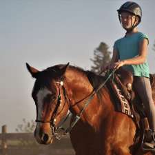 ABC Equestrian | 524239 Curry Rd, Ingersoll, ON N5C 3J8, Canada