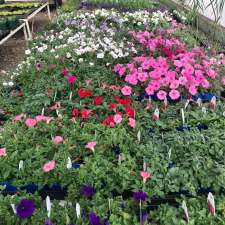 Tammy's Green Thumb Greenhouse | 4530 70 Ave #3510, Olds, AB T4H 1T8, Canada