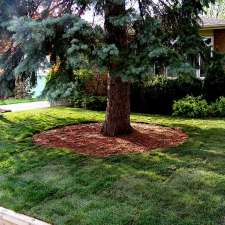 The Lawn Man | 11 Wareside Rd, Etobicoke, ON M9C 3B1, Canada