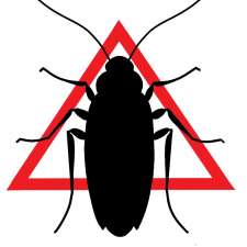 Sleep-Ezy Pest Services Ltd | 700 Coronation Ave., Ottawa, ON K1G 0M6, Canada