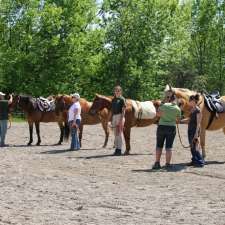 Pard Therapeutic Riding | 1372 Line Rd 4, Warsaw, ON K0L 3A0, Canada