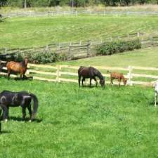 Turning Point Ranch & Apiary | 1709 Martin Prairie Rd, Pritchard, BC V0E 2P0, Canada