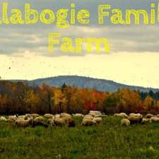 Calabogie Family Farm | 93 Windle Rd, Greater Madawaska, ON K7V 3Z9, Canada