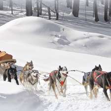 Gipsy Aventure - Traîneaux à chiens | 400 Rang William, Notre-Dame-de-la-Paix, QC J0V 1P0, Canada