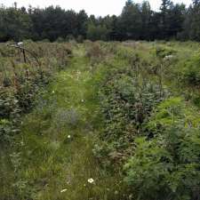 Al's Electronic - Raspberry Farm | 398-410 Greenlake Rd, Pembroke, ON K8A 6W4, Canada