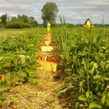 Les filles Auclair - Fraises & Framboises | 180 Rang St Henri, Lavaltrie, QC J5T 3R1, Canada