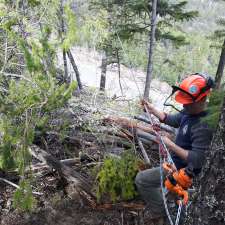 Brushpunks Forestry Services | 4218 6th avanue, Peachland, BC V0H 1X5, Canada