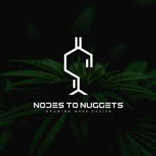 Nodes To Nuggets | 31 Raleigh St, Hamilton, ON L8W 1H4, Canada
